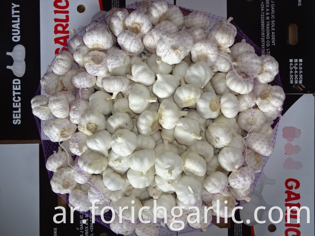 Fresh Pure White Garlic 2019